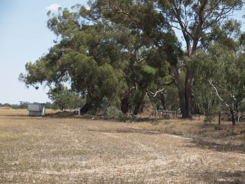 Lifestyle Block Picture 2