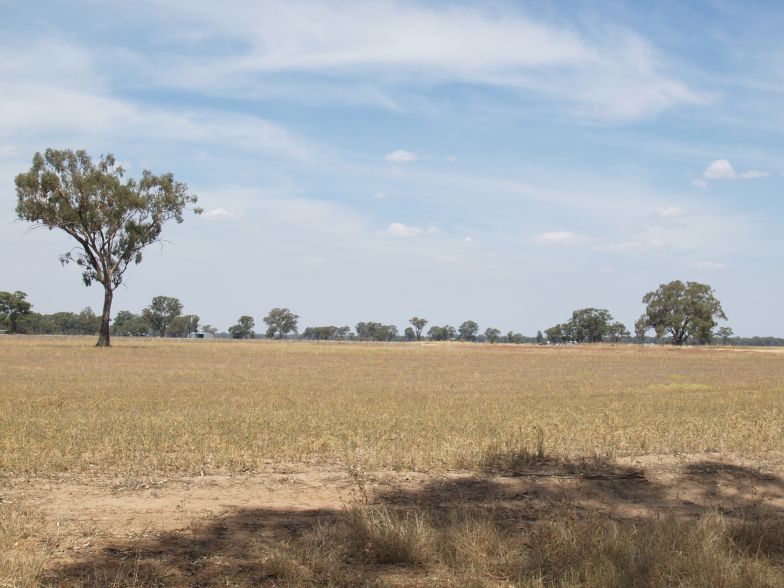 Lifestyle Block Picture 1