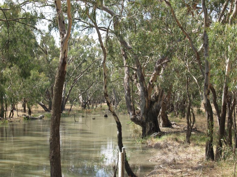 Lifestyle Block Picture 3