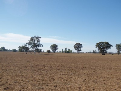 Farmlet Block Picture