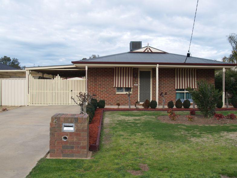 Presentation Plus Picture 1