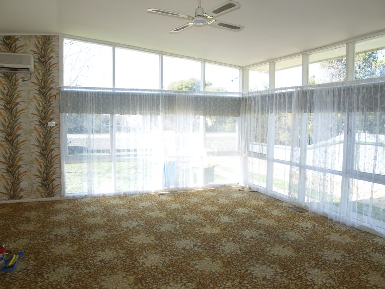 LARGE YARD Picture 2