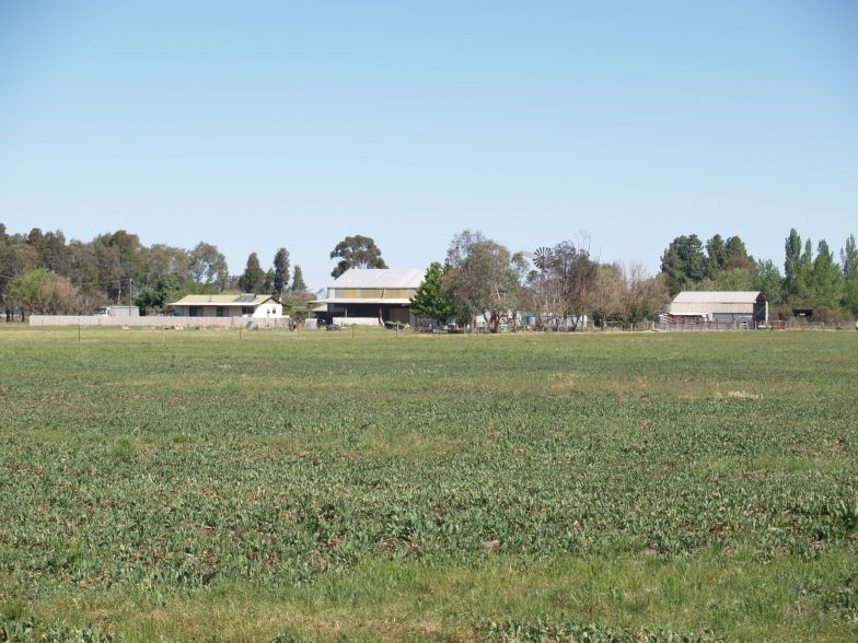 Irrigation Farmlet with Water Picture 2