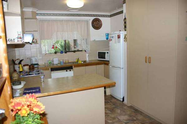 HURRY WILL NOT LAST Picture 2