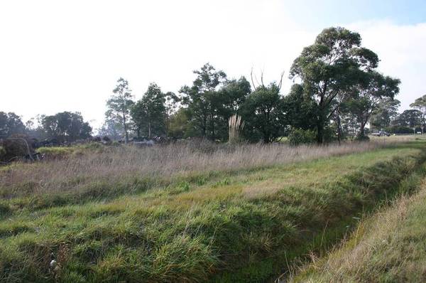 BUILD YOUR DREAM HOME - BUYERS OVER $300,000 Picture 1