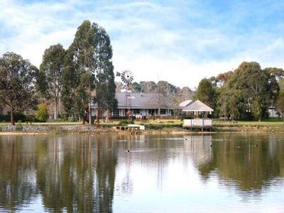 TO LIVE THE DREAM Picture