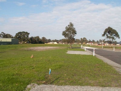 CHEAP AS CHIPS Picture