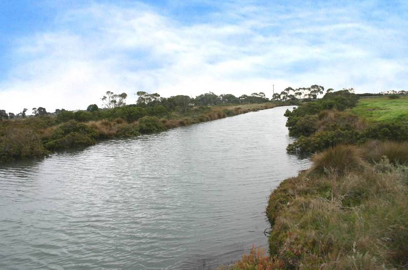 TOORADIN- A SPECIAL Picture 2