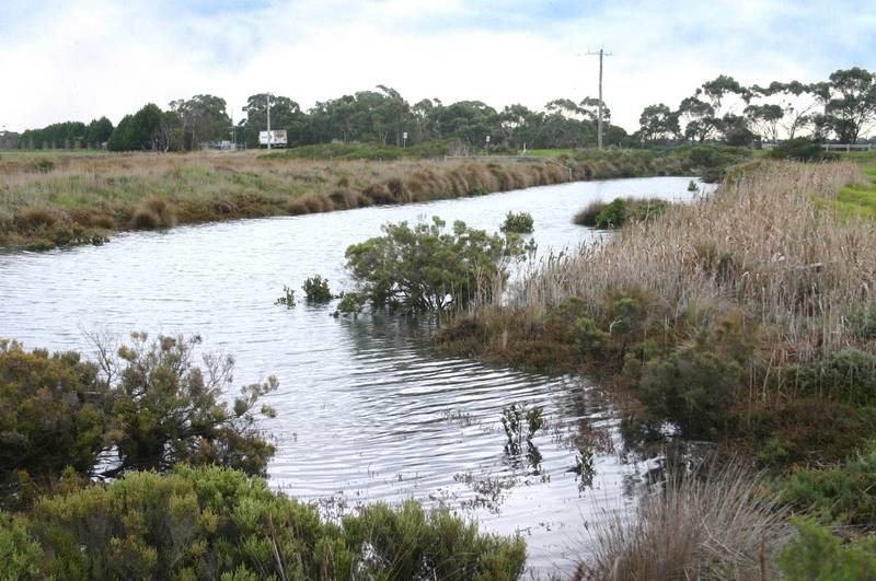 TOORADIN- A SPECIAL Picture 1