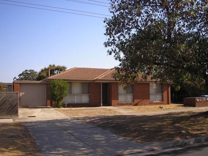 FORGET THE CAR Picture FORGET THE CAR Picture