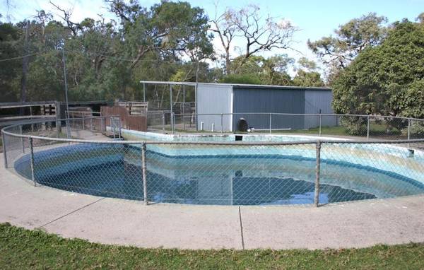 EXCELLENT HORSE PROPERTY Picture 3