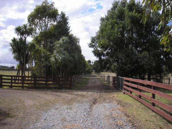 ON THE OUTSKIRTS OF TOWN Picture 3