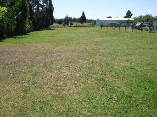 HALF AN ACRE ON TITLE Picture 1