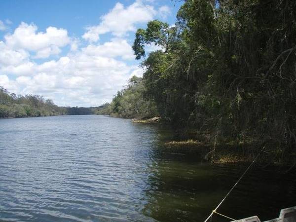 50 ACRES & RIVERS OF GOLD Picture 1