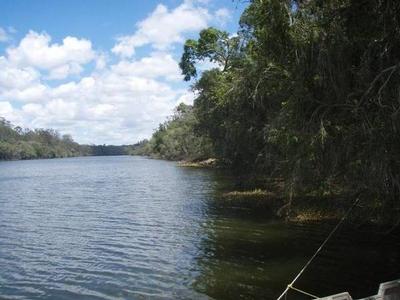 50 ACRES & RIVERS OF GOLD Picture