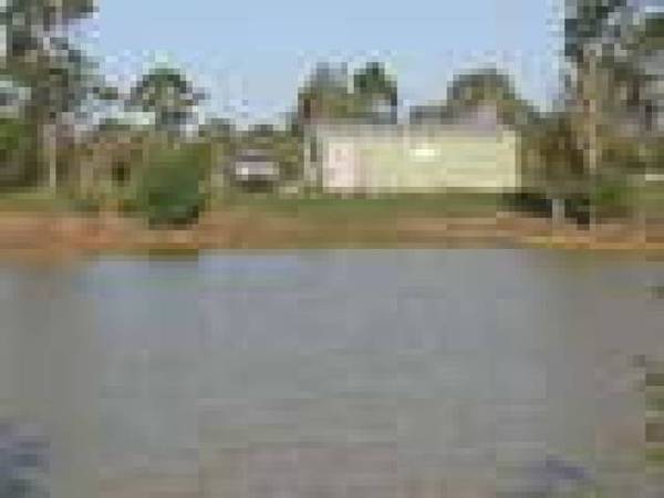 Big Shed on 28 Acres Picture 3