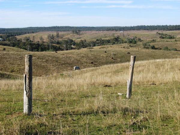 Unique Position, Queenslander with 80 acres Picture 2