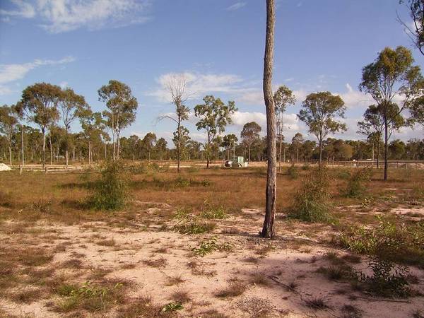 Acreage near the River Picture 3