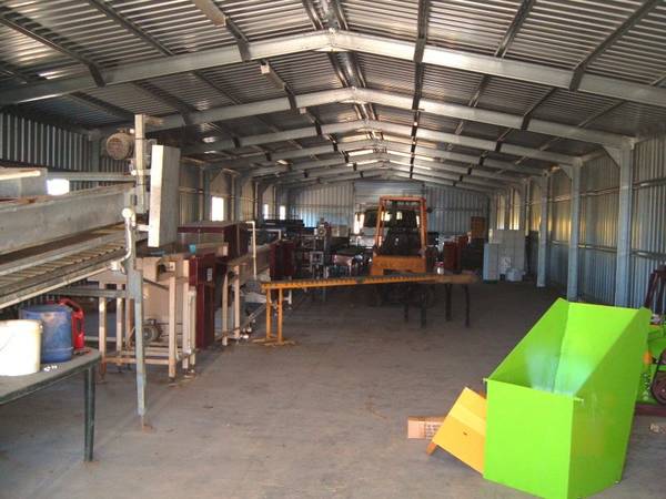 Clean Up This Orchard and Reap Good Pickings! Picture 2