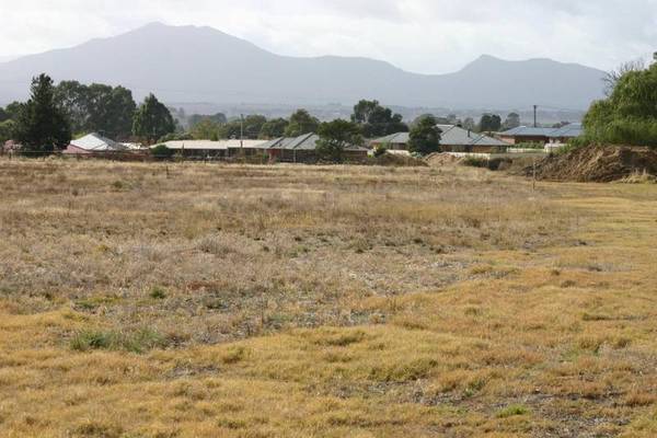 New Land Estate Picture 3