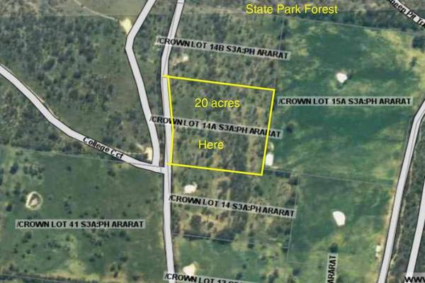 20 Acre Bush Block - Edge of Town Picture 1