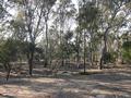 20 Acre Bush Block - Edge of Town Picture 20 Acre Bush Block - Edge of Town Picture