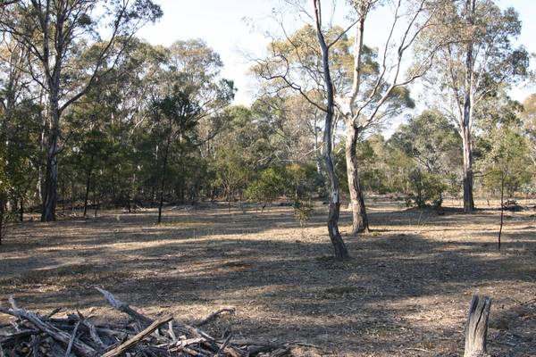 20 Acre Bush Block - Edge of Town Picture 2