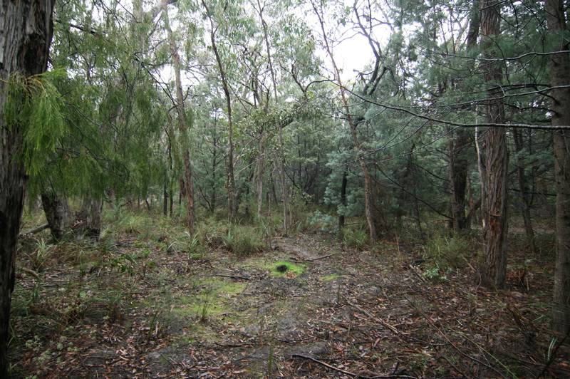 Halls Gap Bushland Block - One Acre Picture 3