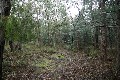 Halls Gap Bushland Block - One Acre Picture