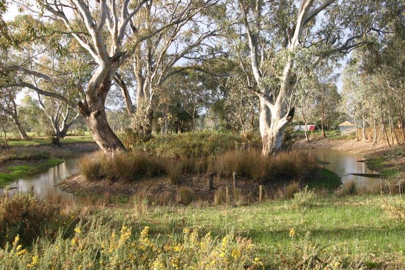 Semi-Rural Setting - 3 Acres Picture 2