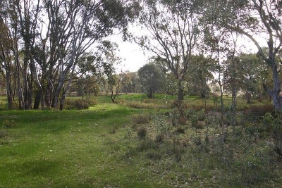 Semi-Rural Setting - 3 Acres Picture