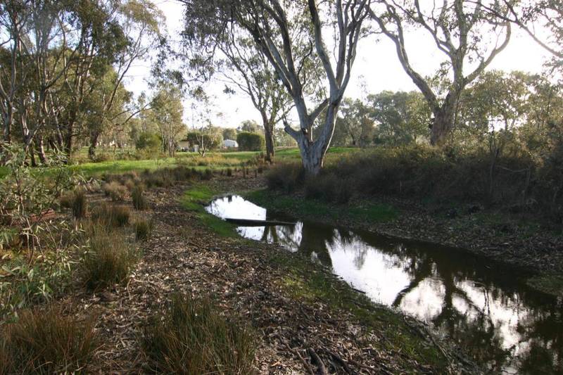 Semi-Rural Setting - 3 Acres Picture 3