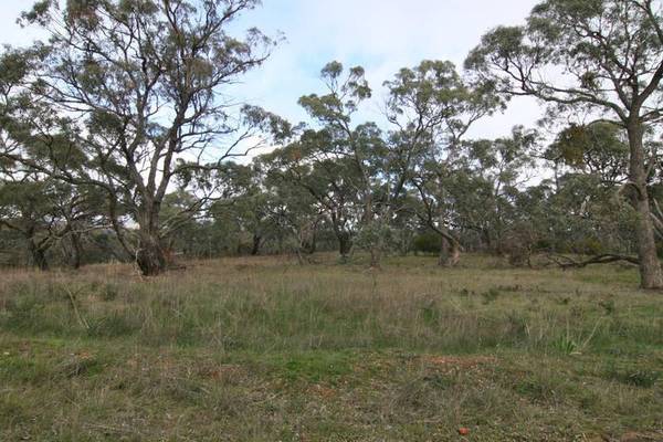 3-5 ACRES OF BUSHLAND Picture 1