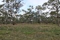 3-5 ACRES OF BUSHLAND Picture