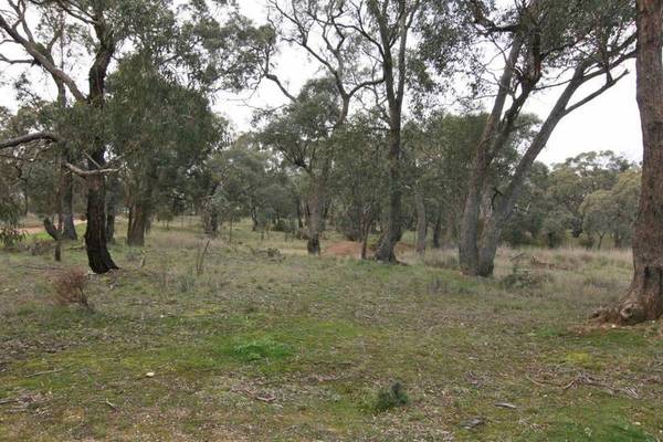 3-5 ACRES OF BUSHLAND Picture 2