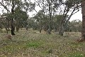 3-5 ACRES OF BUSHLAND Picture