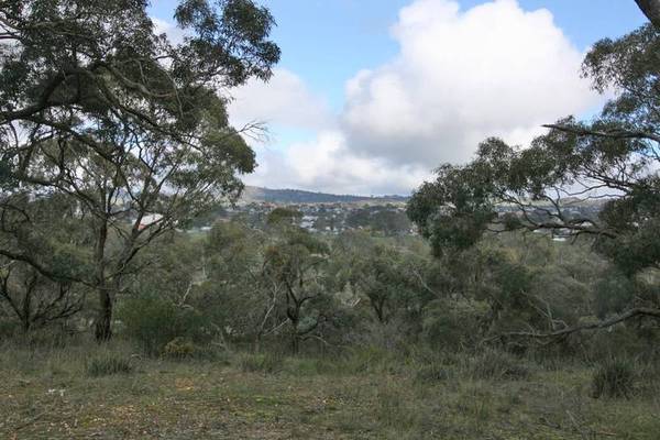 3-5 ACRES OF BUSHLAND Picture 3