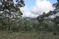 3-5 ACRES OF BUSHLAND Picture