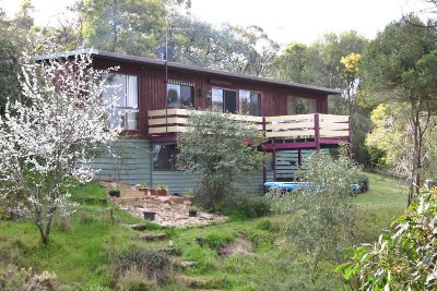 Spacious Family Home with Tree Top & Mountain Views Picture