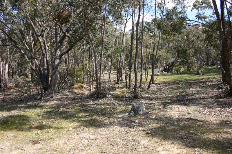 Rural Land - 43.5 Acres Picture 1