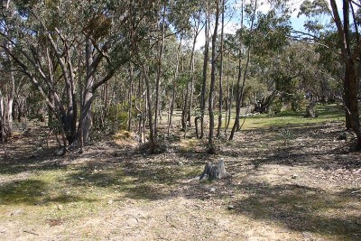 Rural Land - 43.5 Acres Picture