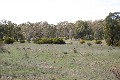 Rural Land - 43.5 Acres Picture