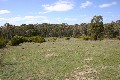 Rural Land - 43.5 Acres Picture
