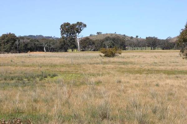 LIFE COULD BE SOOOO GOOD Picture 3