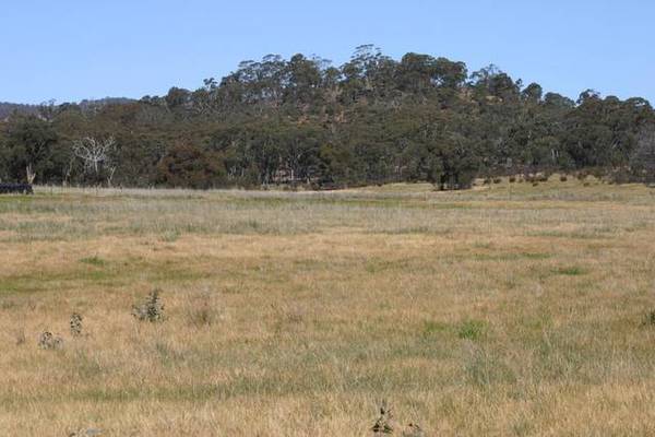 LIFE COULD BE SOOOO GOOD Picture 2