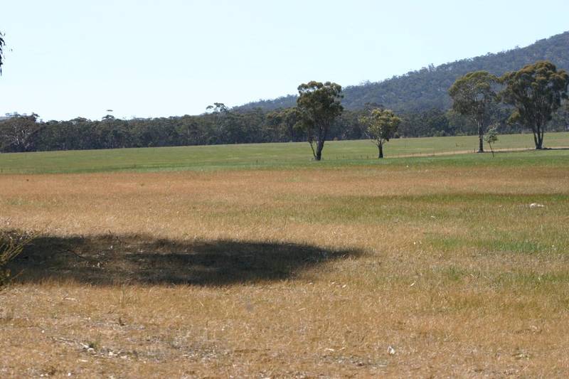 40 ACRES WITH DAM & HAYSHED Picture 1