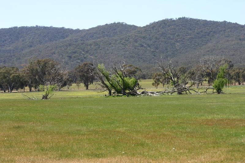 40 ACRES WITH DAM & HAYSHED Picture 3