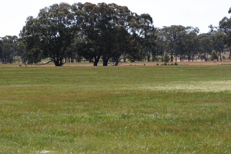 COUNTRY BLOCKS READY FOR YOUR ESCAPE Picture 1