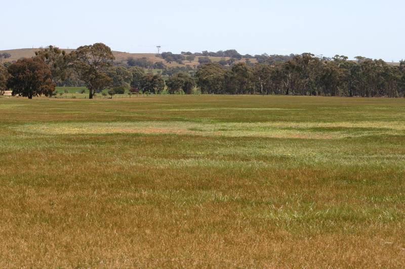 COUNTRY BLOCKS READY FOR YOUR ESCAPE Picture 2