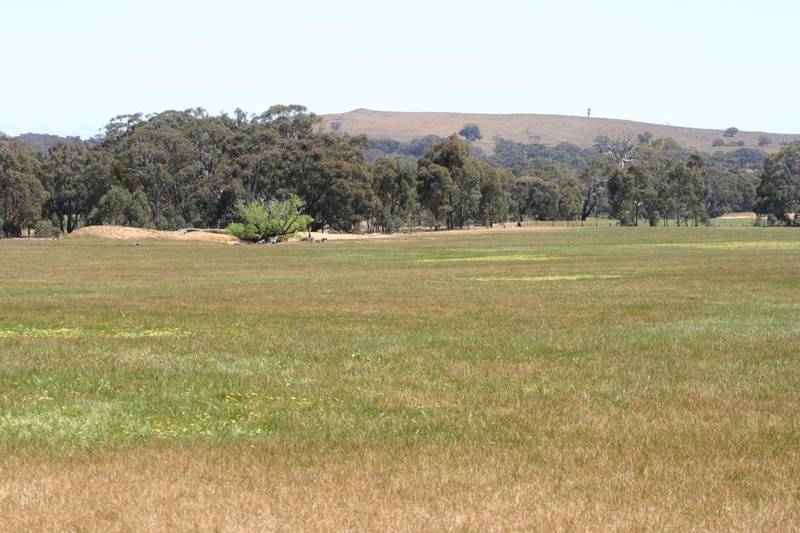 COUNTRY BLOCKS READY FOR YOUR ESCAPE Picture 3